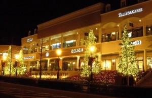 83ff3943-7cf0-5f3e-9b34-dcb8cdcb7380_R