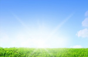 8e0ea997e07bd0e51c73fca60ac99c78_s_R