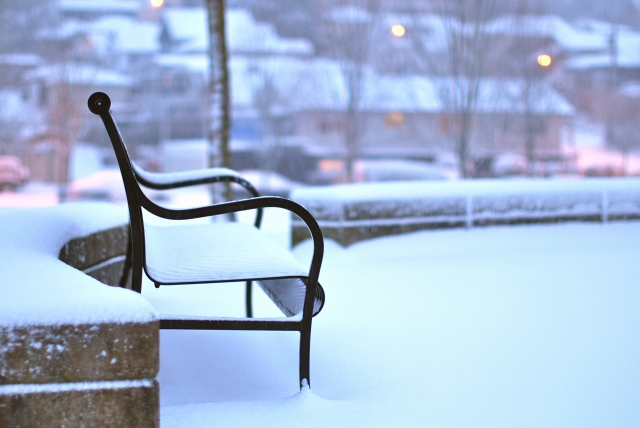 寒い,仙台,チャットレディ