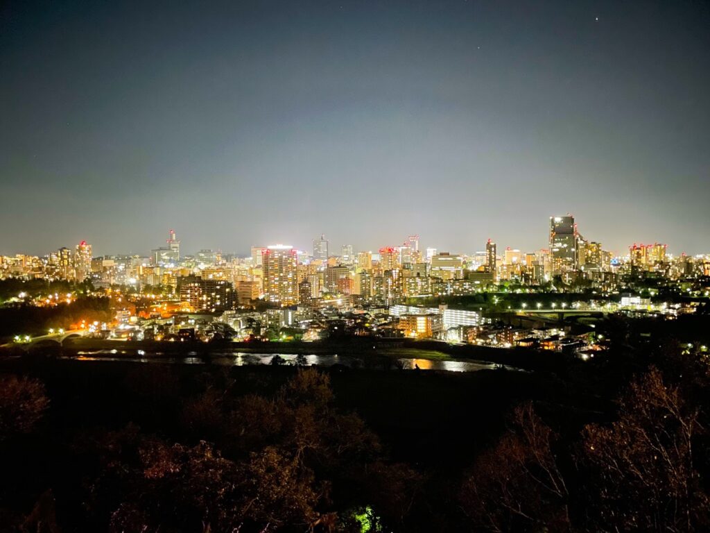 仙台城跡,夜景,インスタ映え