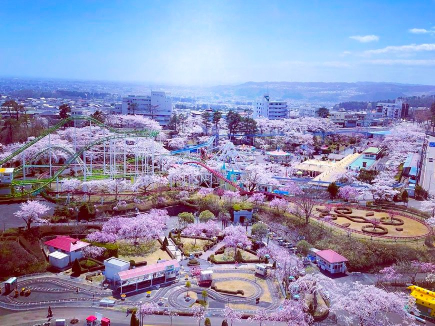 八木山ベニーランドの観覧車