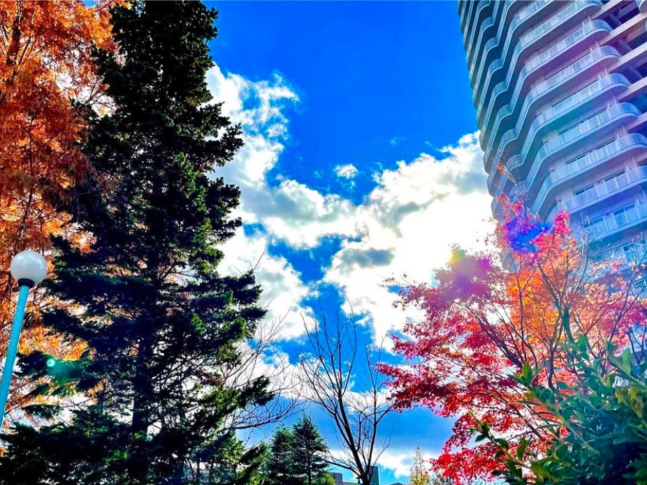 仙台駅まで車で10分のマンションパークタワー台原